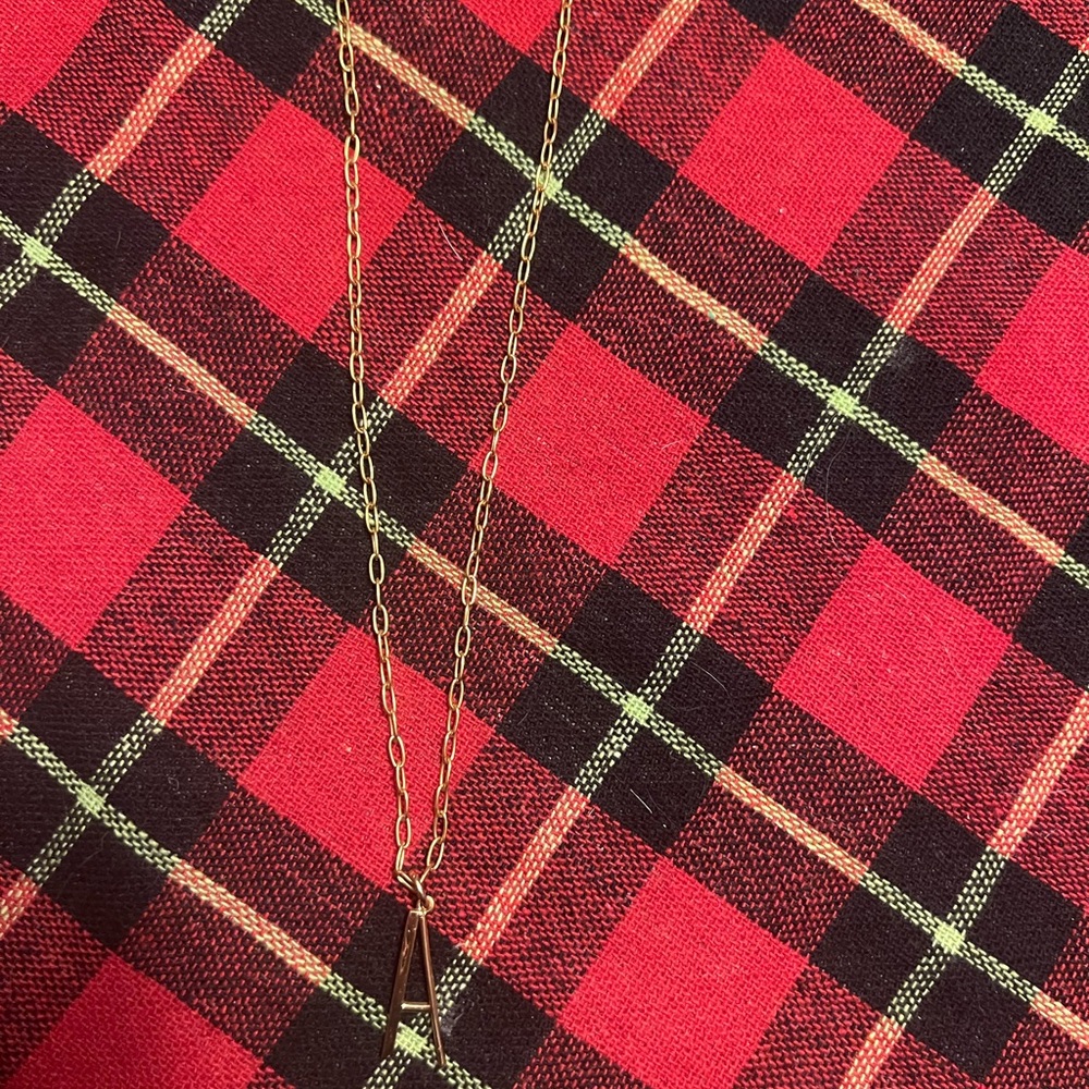 Elegant Gold Necklace with A intial
